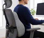 Ergonomic Memory Foam Lumbar Support Cushion - 17.3" x 15" x 4.7"